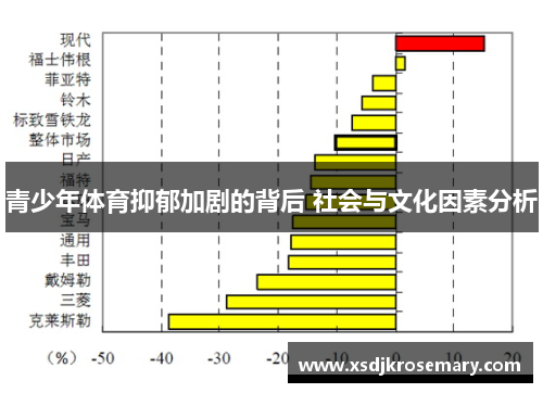 青少年体育抑郁加剧的背后 社会与文化因素分析