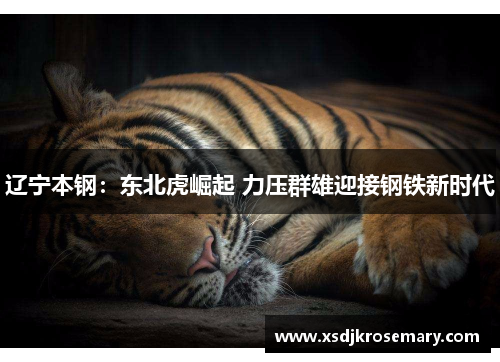 辽宁本钢：东北虎崛起 力压群雄迎接钢铁新时代